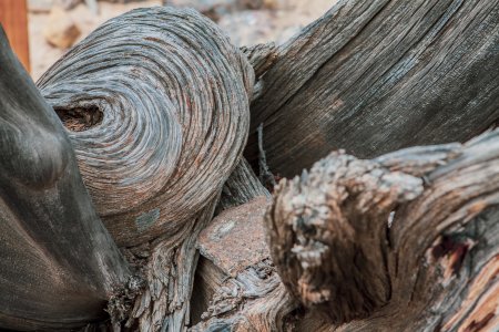 Zelfs de bomen kleuren hier rood